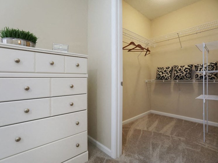 Master Bedroom Feels Large and Spacious with Impressive 9 Foot Ceilings and Large Walk-In Closets at The Shallowford Apartment Homes, Chattanooga, TN 37421